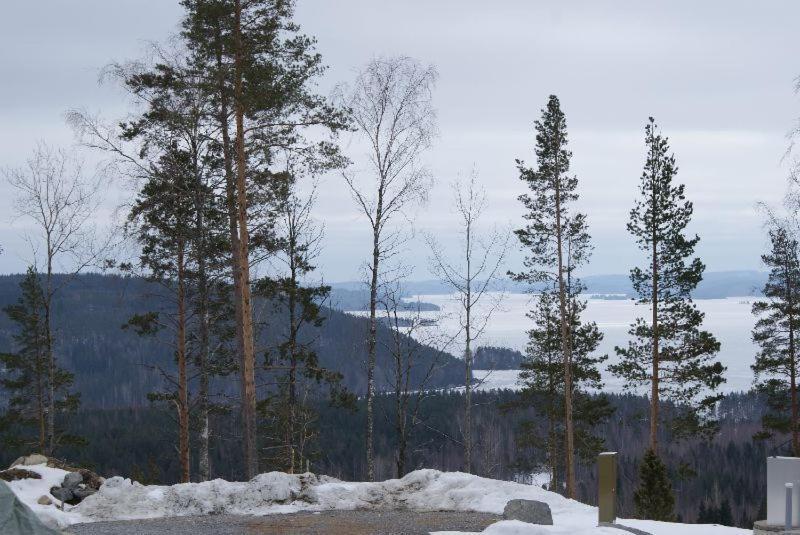 Riihivuoren Lomakylae Muurame Quarto foto